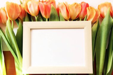 Beyaz arka planda bir buket lale ve beyaz model çerçeve. Paskalya ya da doğum günü kutlamaları. Metin için yeri olan yay çerçeve modeli.