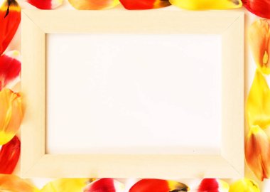 Beyaz arka planda bir buket lale ve beyaz model çerçeve. Paskalya ya da doğum günü kutlamaları. Metin için yeri olan yay çerçeve modeli.