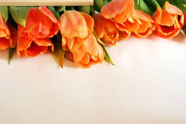 Fundo Vista Superior Com Flores Tulipas Composição Flores Cartão Mockup — Fotografia de Stock