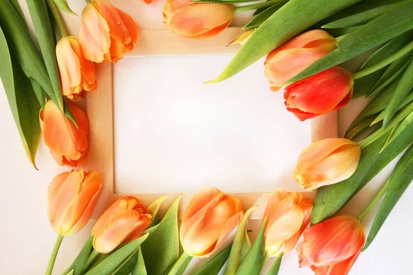 Bukiet Tulipanów Białej Ramki Białym Tle Wielkanoc Lub Dzień Narodzin — Zdjęcie stockowe
