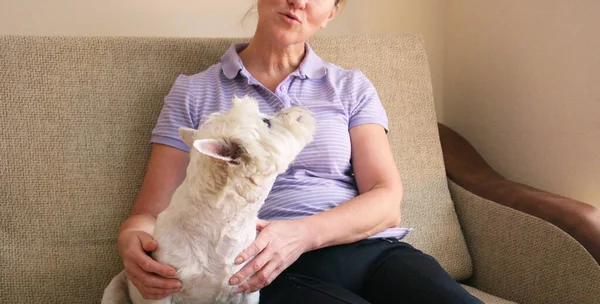 Kobieta Trzymająca Białego Psa Ręku Konsept Opieki Nad Zwierzętami Zachodnie — Zdjęcie stockowe