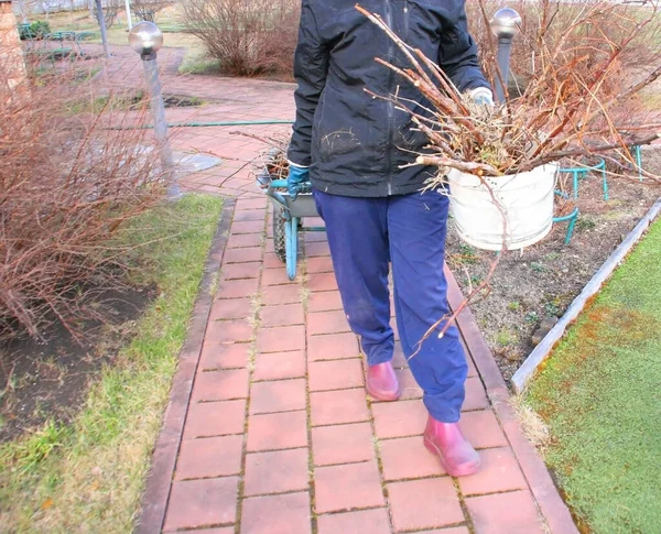 Pessoa Trabalhando Jardim Agricultura Consept Jardim Preparação Para Soar Cair — Fotografia de Stock