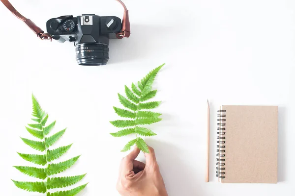 Mano de mujer con hoja de helecho, cámara, cuaderno y lápiz, plano l — Foto de Stock