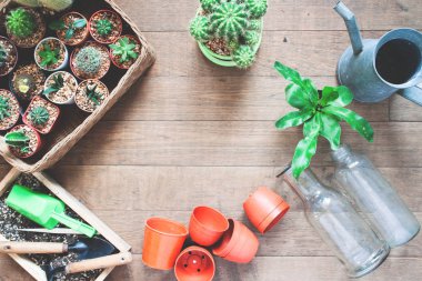 Kaktüs ve pot bitki üzerinde ahşap arka plan Bahçe aletleri ile çeşitli 