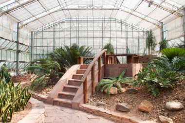 Kaktüs ans glasshouse Kraliçe Sirikit b sulu çeşitli