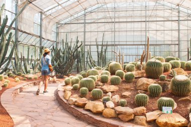 Kaktüs glasshouse Kraliçe Sirikit botanik, yürüyüş Gezgin 