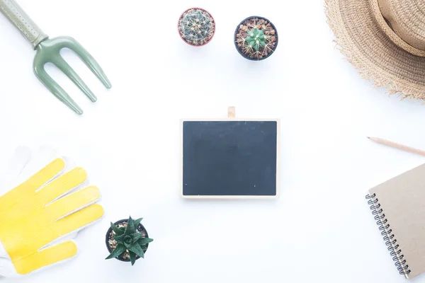 Artículos de jardinero con cactus en maceta, en blanco para texto en middl — Foto de Stock