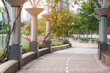 Ivy ve sabah gündoğumu ile yola park