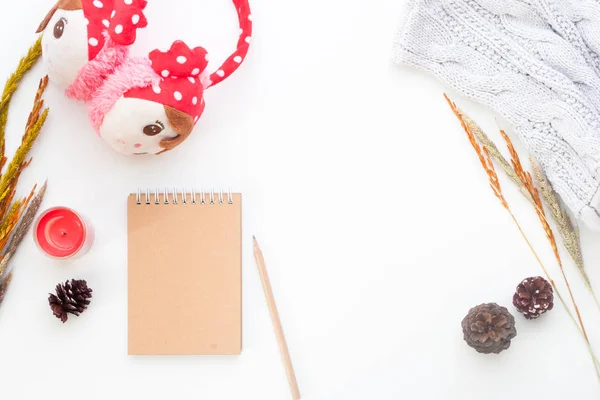 Conjunto plano creativo de concepto de invierno con cuaderno, lápiz, flores secas y accesorios para niña sobre fondo blanco — Foto de Stock