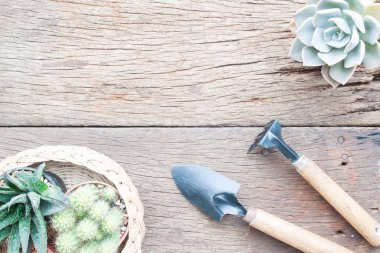 Kaktüs bitkileri ve etli pot ve Bahçe araçları, Grunge ahşap arka plan düz yatıyordu Bahçe masasi 