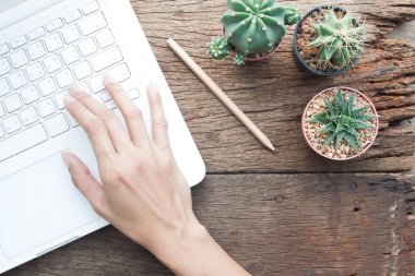 Kaktüs bahçıvanın çalışma alanı, Online alışveriş veya pazarlama kavramı, dizüstü bilgisayar kullanarak kadın eli Üstten Görünüm