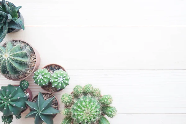 Vista superior de cactus en macetas sobre mesa de madera con espacio para copiar, Hobby y Lifestyle concepto — Foto de Stock