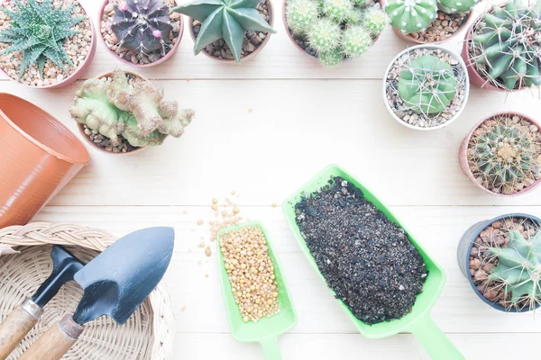 Creatieve flat lag tuinieren Bureau met Cactus planten in pot en de tuin-tools — Stockfoto