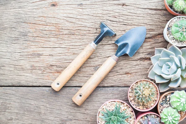 Herramientas de jardín con suculentas y cactus sobre fondo de madera, Puesta plana — Foto de Stock