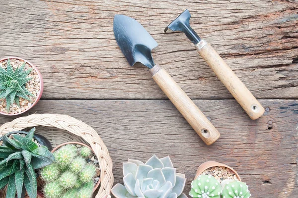 Bureau de jardinage créatif plat avec succulents et cactus dans des outils de pot et de jardin — Photo