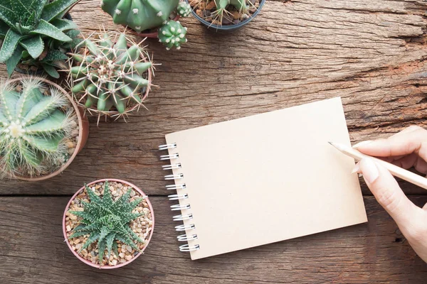 Mano de mujer con cuaderno en blanco sobre mesa de jardinería con plantas de cactus — Foto de Stock