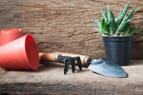 Escritorio de jardinero con planta de cactus, Hobby y concepto de estilo de vida — Foto de Stock