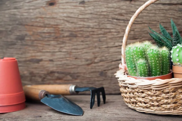 Plantas de cacto em cesta e ferramentas de jardim em mesa de madeira, Hobby e Lifestyle conceito — Fotografia de Stock
