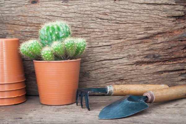 Escritorio de jardinero con planta de cactus, Hobby y concepto de estilo de vida — Foto de Stock