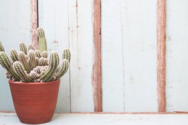 Seramik ahşap arka plan, Vintage tarzı, yaşam tarzı kavramı kaktüs