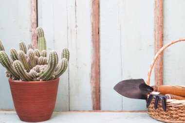 Kaktüs fabrikasında seramik ve Bahçe araçları, dekore ev, Vintage tarzı