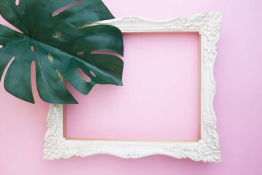 Tropikal orman yaprak, pembe bir arka plan üzerinde beyaz vintage tarzı resim alev üzerinde Monstera