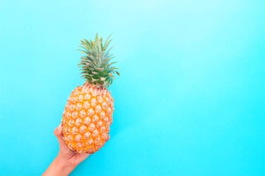 Kadın eli taze ananas mavi renk arka planda, moda, yaz tatili, yaşam tarzı konsepti holding