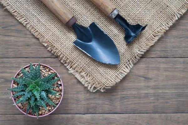 Plano de la planta de cactus y herramientas de jardín en la mesa de madera, Jardinería — Foto de Stock