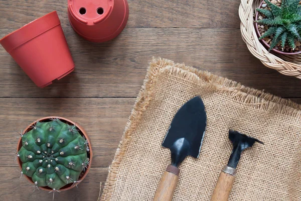 Outils de jardin et plantes de cactus sur table en bois — Photo