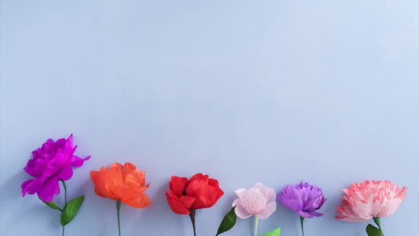 Бумажные цветы растут — стоковое видео