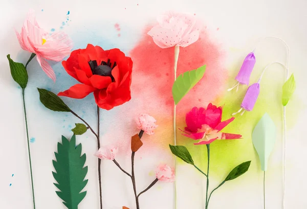 Paper flowers and watercolors — Stock Photo, Image