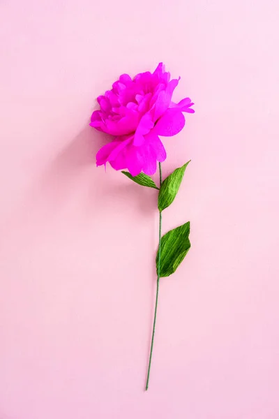 Handmade paper flower — Stock Photo, Image