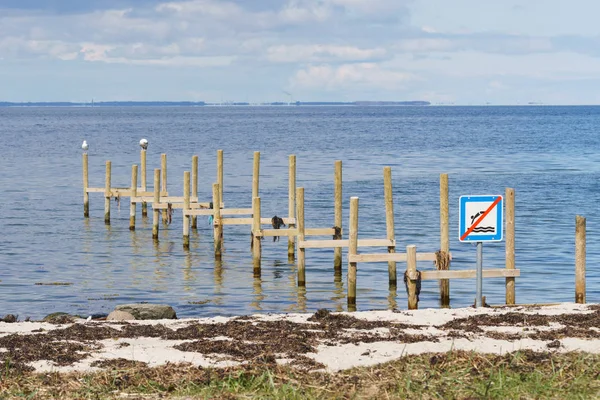 Gammal brygga i Danmark — Stockfoto