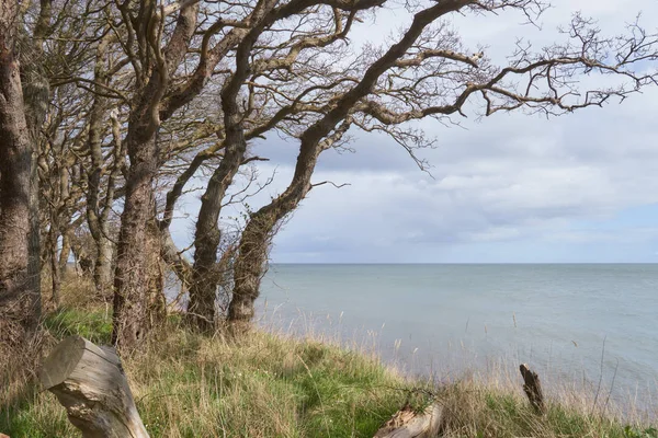 Langeland beach Dovnsklint — Stockfoto