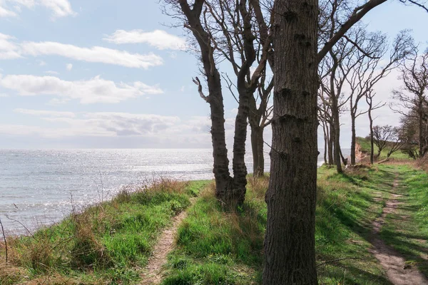 Langeland plaj Dovnsklint