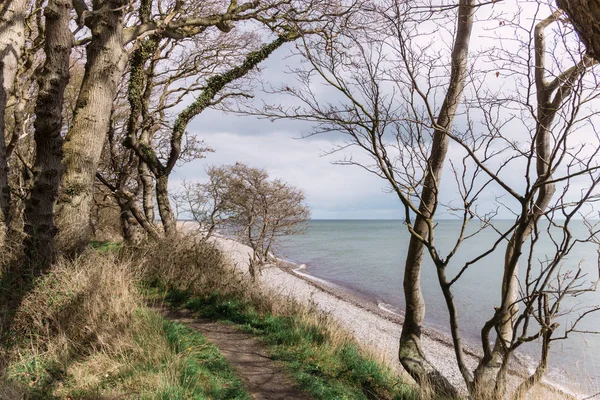 Langeland strand Dovnsklint — Stockfoto