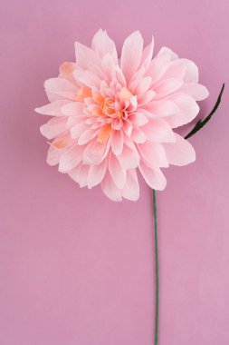 Krep kağıt dahlia