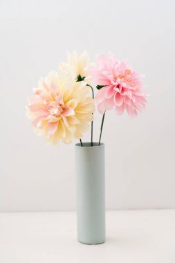 Üç kağıt dahlias