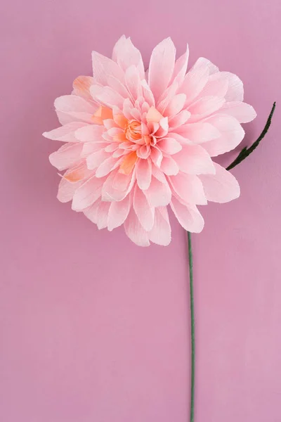 Crepe papper dahlia — Stockfoto