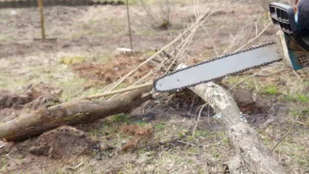 A man sawing firewood with chainsaw — Stock Video