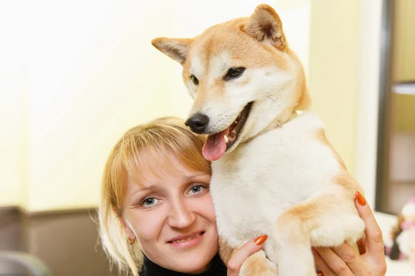 Shiba inu psa z jego właścicielem . — Zdjęcie stockowe