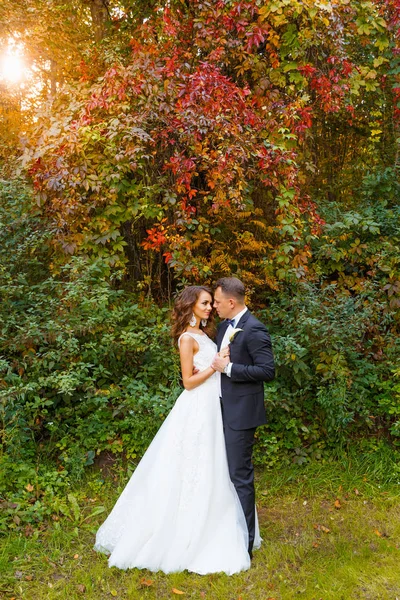 Elegant curly bride and stylish groom — Stock Photo, Image