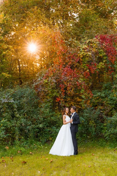 Elegantní kudrnaté nevěsta a ženich stylový — Stock fotografie