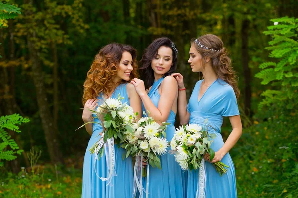 Tres hermosas damas de honor — Foto de Stock