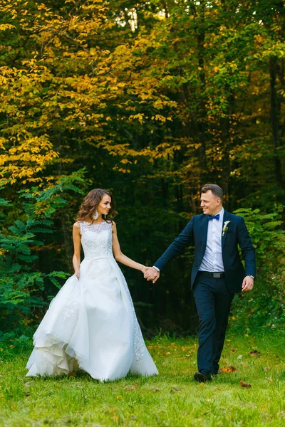 Elegantní kudrnaté nevěsta a ženich stylový — Stock fotografie