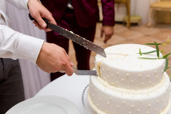 Nevěsta a ženich na svatební hostině krájení svatební dort — Stock fotografie
