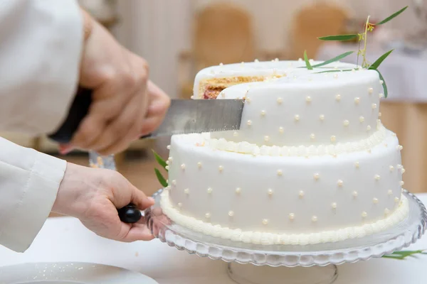 Hands of a waiter — Stock Photo, Image