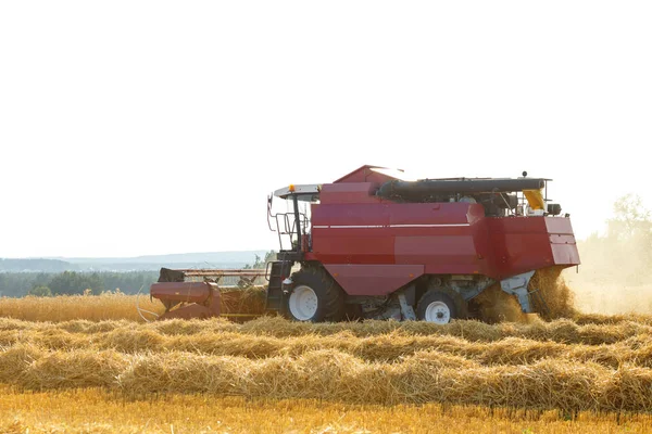 Harvester tömeges betakarított gabona — Stock Fotó