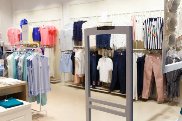 Tarayıcı giriş kapısı