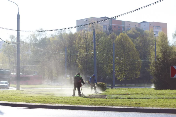 Workers mow grass — Stok fotoğraf